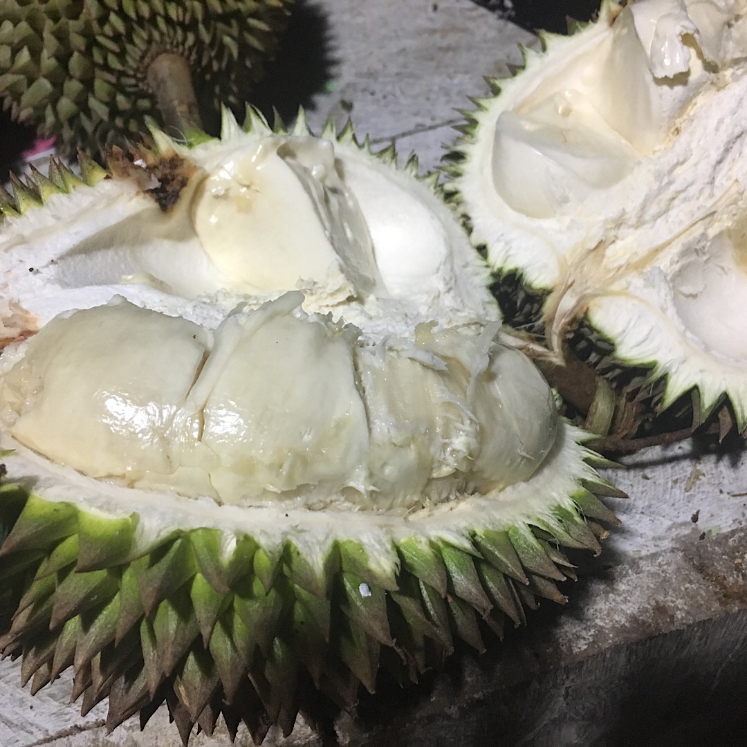 サラック 別名スネークフルーツの味 栽培 栄養価 食べ方紹介します サラック 別名スネークフルーツの味 栽培 栄養価 食べ方紹介します