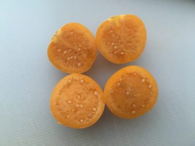 食用ほおずき ゴールデンベリー がもう絶品 味 栽培 食べ方 栄養価を紹介します