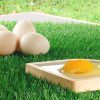 マレーシアで生卵が食べられない理由。殺菌＝安全なのか？
