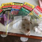 生のフルーツや植物は日本に持ち込めるの？事前調査方法と植物検疫所での手続き
